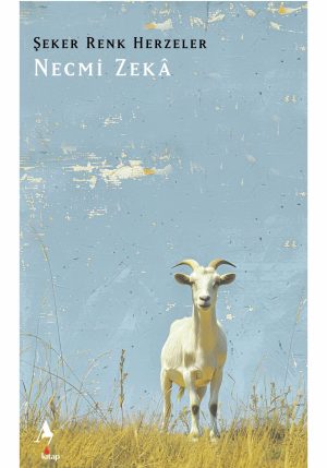 Şeker Renk Herzeler Necmi Zeka Şiir ön