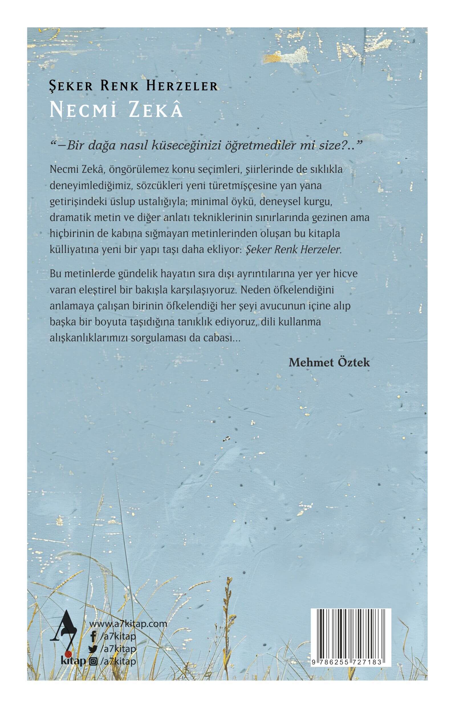 Şeker Renk Herzeler Necmi Zeka Şiir arka