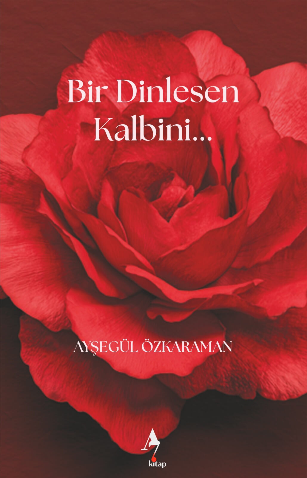 Bir Dinlesen Kalbini - Ayşegül Özkaraman Ön