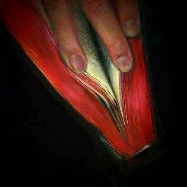 A7 Kitap Blog - Harfsiz Kelimeler - Suat Hayri Küçük