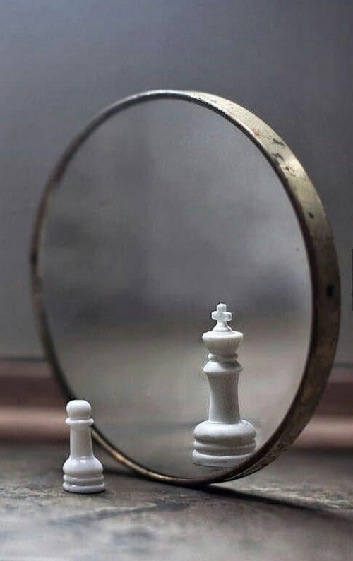 A7 Kitap Blog - Hayatın Anatomisi / Atila Yüksel